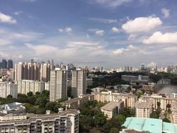 Cityscape @ Farrer Park (D8), Condominium #116933712